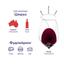 Вино Most Wanted Aussie Shiraz, красное, сухое, 13%, 0,75 л (775814) - миниатюра 3