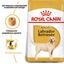 Сухий корм для дорослих собак породи Лабрадор Ретрівер Royal Canin Labrador Retriever Adult, 3 кг (2487030) - мініатюра 5