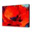 Картина по номерам ArtCraft Роскошный цветок 40x50 см (12148-AC) - миниатюра 2