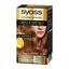 Фарба для волосся Syoss Oleo Intense 7-70 Золоте манго, 115 мл - мініатюра 1