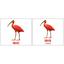 Набор карточек Вундеркинд с пеленок Птицы/Birds, укр.-англ. язык, 40 шт. - миниатюра 3
