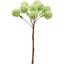 Декоративні кульки мімози Yes! Fun на стеблі 1.6 см зелені 9 шт. (974163) - мініатюра 1