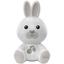 Іграшка-нічник музична Chicco Кролик Dreamlight (11456.00) - мініатюра 1
