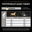 Сухий корм Purina Pro Plan Medium Adult 1+ Everyday Nutrion для дорослих собак середніх порід з куркою 3 кг (12279419) - мініатюра 10