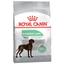 Сухий корм для дорослих собак Royal Canin Maxi Digestive Care із чутливим травленням, 10 кг (3055100) - мініатюра 1
