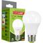 Светодиодная лампа Eurolamp LED Ecological Series, A60, 12W, E27, 4000K (LED-A60-12274(P)) - миниатюра 1