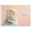 Альбом для малювання Школярик Кіт в шапці і шарфі, 20 аркушів (PB-SC-020-557) - мініатюра 1