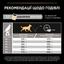 Сухий корм для дорослих собак великих порід Purina Pro Plan Large Robust Adult, з куркою, 14 кг (12375799) - мініатюра 11