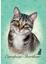 Пазл Educa Європейська короткошерста кішка, 100 елементів (18808) - мініатюра 2