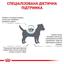 Сухой диетический корм для собак малых пород Royal Canin Skin Care Adult Small Dog при дерматозах и выпадении шерсти, 2 кг (40060201) - миниатюра 6
