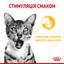 Вологий корм для дорослих котів Royal Canin Sensory Taste Gravy, шматочки в соусі, 85 г - мініатюра 3
