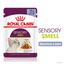 Влажный корм для взрослых кошек Royal Canin Sensory Smell Jelly, кусочки в желе, 85 г - миниатюра 2