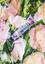 Зубная паста Marvis Garden Collection Поцелуй розы, 75 мл - миниатюра 3
