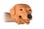 Іграшка-рукавичка Same Toy Собака Лабрадор (X307Ut) - мініатюра 2