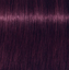 Фарба-мікстон для волосся Schwarzkopf Professional Igora Royal New, відтінок 0-99 (фіолетовий концентрат), 60 мл (2683409) - мініатюра 2