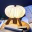 Светильник Gingko R Space Lamp орех, 4,5 Вт (G002WT) - миниатюра 1