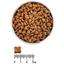 Сухой корм для взрослых собак Екко-гранула, с индейкой, четырехлистник, 10 кг - миниатюра 2