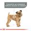 Сухий корм для собак малих порід із підвищеною чутливістю зубів Royal Canin Mini Dental Care, 1 кг (12210109) - мініатюра 2