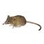 Мягкая игрушка Hansa мышь, 14см (7233) - миниатюра 1