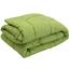 Одеяло силиконовое Руно, 220х200 см, зеленое (322.52СЛБ_Зелений) - миниатюра 1
