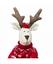 Декоративна іграшка Прованс Deer Joe, 50 см (23262) - мініатюра 3