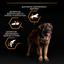 Сухий корм для дорослих собак великих порід Purina Pro Plan Large Robust Adult, з куркою, 14 кг (12375799) - мініатюра 8