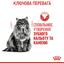 Сухий корм для котів Royal Canin Dental Care, для профілактики утворення зубного нальоту, 1,5 кг (2532015) - мініатюра 6