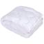 Одеяло Iris Home Softness, двуспальное, 210х170 см, белое (svt-2000022303972) - миниатюра 1