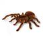 Радиоуправляемая игрушка Best Fun Toys Giant Fly паук тарантул (EPT731149) - миниатюра 2