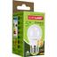 Світлодіодна лампа Eurolamp LED Ecological Series, G45, 5W, E27, 3000K (LED-G45-05273(P)) - мініатюра 4