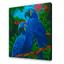 Картина за номерами ArtCraft Блакитні ари 40x50 см (11639-AC) - мініатюра 2