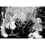 Книга-манга Ведьминский рай Том 1 - Юмеджи (MAL061) - миниатюра 3