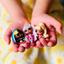 Ігровий набір з лялькою L.O.L. Surprise Minis Крихітки, в асортименті (579618) - мініатюра 10