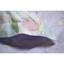 Постельное белье Lotus Home Elisa сатин полуторное разноцветное (svt-2000022313919) - миниатюра 4