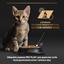 Вологий корм Purina Pro Plan Kitten Healthy Start для кошенят після відлучення від матері мус з куркою 85 г (12459008) - мініатюра 8