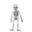 Декор Yes! Fun Halloween Скелет картонный, 60 см (974322) - миниатюра 2