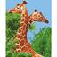 Картина за номерами ArtCraft Пара жирафів 40x50 см (11613-AC) - мініатюра 1