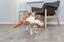 Іграшка для собак Trixie Сурікат, 40 см (35672) - мініатюра 3