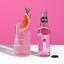 Напиток Artisan Drinks Co. Pink Citrus Tonic безалкогольный 0.2 л - миниатюра 3