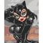 Картина по номерам ArtCraft Настоящая кошка 40x50 см (10310-AC) - миниатюра 1