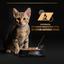 Вологий корм Purina Pro Plan Kitten Healthy Start для кошенят паштет зі шматочками індички 75 г (12430962) - мініатюра 7