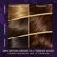 Стійка крем-фарба для волосся Wella Color Perfect 4/0 Темний шоколад (4064666598291) - мініатюра 3
