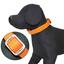 Нашийник для собак Croci Leatherette, лаковий, 26-40x1,5 см, помаранчевий (C5079721) - мініатюра 1