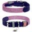 Ошейник для собак Waudog Classic, L, 38-49х2,5 см, фиолетовый - миниатюра 1