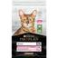 Сухий корм для котів з чутливим травленням Purina Pro Plan Delicate, з ягням, 10 кг (12434335) - мініатюра 1