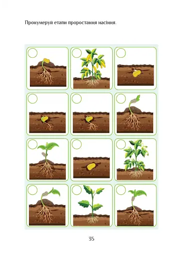 Я досліджую світ. 2 клас. Зошит-практикум. Частина 2 - фото 5