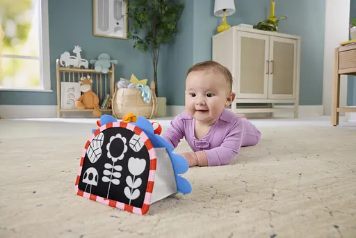 Игрушка Fisher-Price Портативное зеркальце 2-в-1 (JHB45) - фото 3