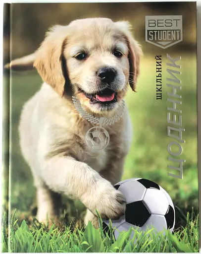 Щоденник шкільний, 165x208 мм, обкладинка 7БЦ, 40 аркушів, SD1720