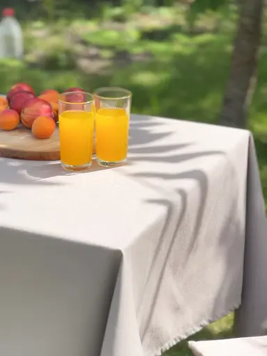 Водовідштовхувальна скатертина Капучино однотон 280х140 см (+ 6 серветок 30х40)