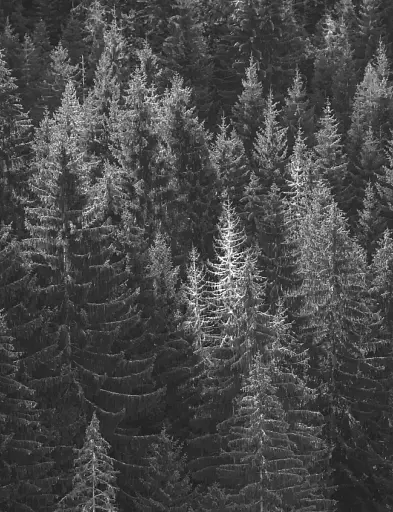 Ворохтаріум. Літературний тріалог з діалогом і монологами - фото 7